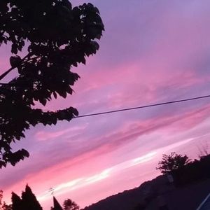 Meet your Posher, Isabella